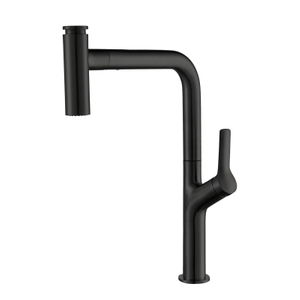 Modern Black Single Handle Single Hole Kitchen Faucet with Pull Down Sprayer