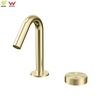 YC-80746 Bathroom Faucet with Shower Brizo Bathroom Faucets Faucet Bathroom Sink
