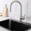 304 Stainless Steel Brushed Nickel Kitchen Faucet with Pull Down Sprayer