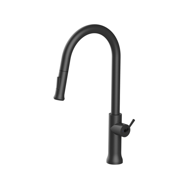Designer 304 Stainless Steel Kitchen Faucet with Pull Down Sprayer