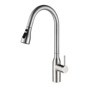 304 Stainless Steel Brushed Kitchen Faucet with Pull Down Sprayer