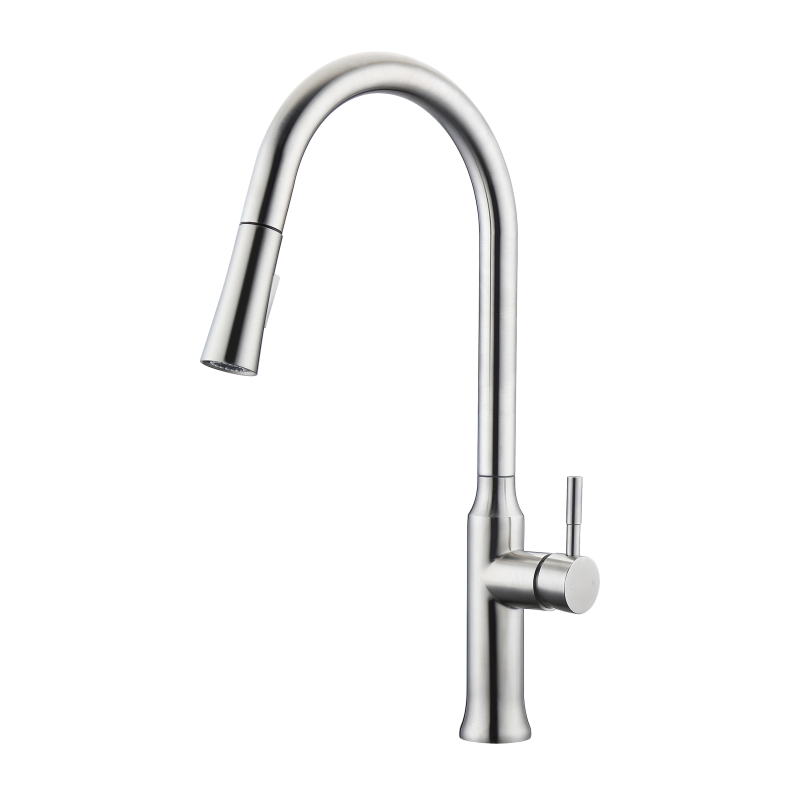 kitchen faucet with pull out sprayer