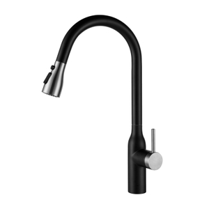304 Stainless Steel Matte Black Ycfaucet Kitchen Faucet with Pull Down Sprayer