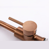 304 Stainless Steel Rose Gold Bathroom Small Three-way Basin Faucet