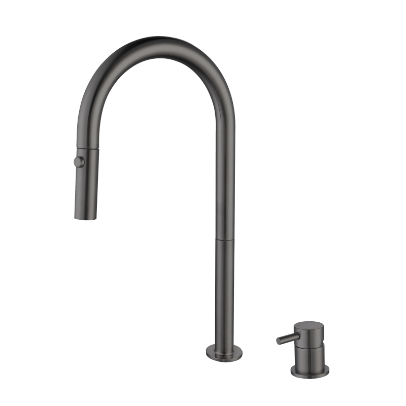 kitchen faucet with pull down sprayer