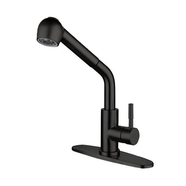 Modern matte black Single Handle Single Hole Pull Out Kitchen Faucet